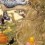 Alicia Gonzalez
