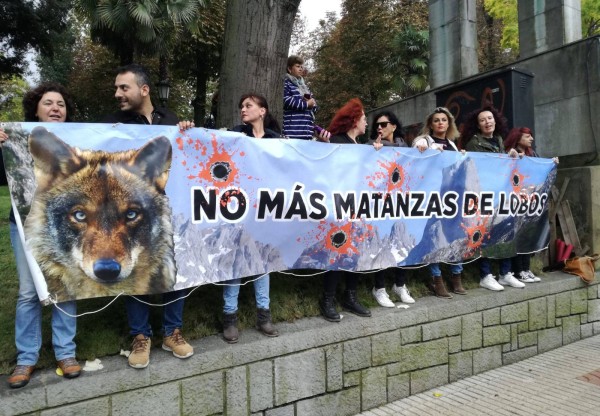 Solidaridad con Xurde en Defensa del Lobo's header image