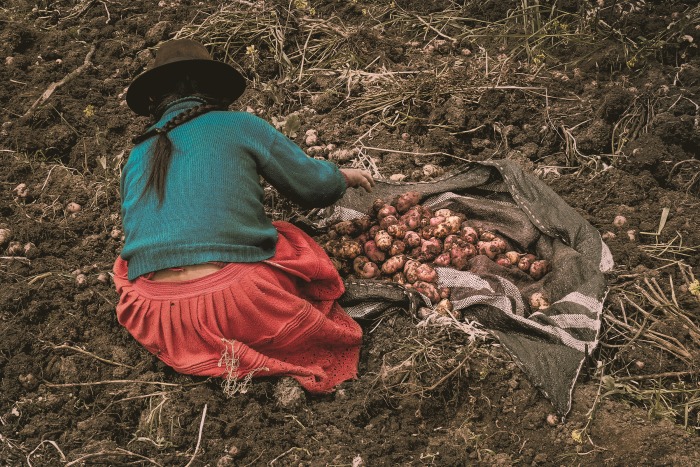 mujer-trabajora-ok.jpg