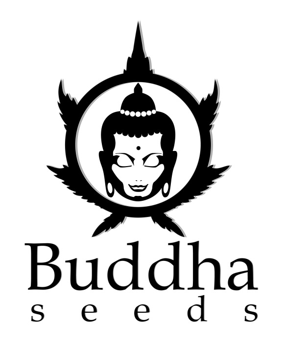 Buddha Seeds patrocinador de Salvaralarula!