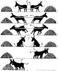 26% en 5 dies