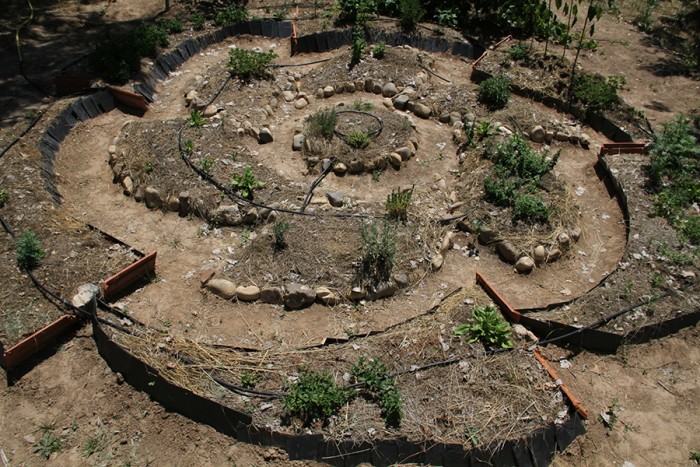 spiral-garden.jpg